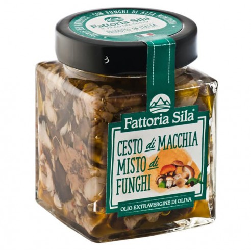 Cesto di Macchia Funghi Misti...