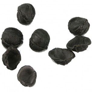 Casa Prencipe Orecchiette... 2